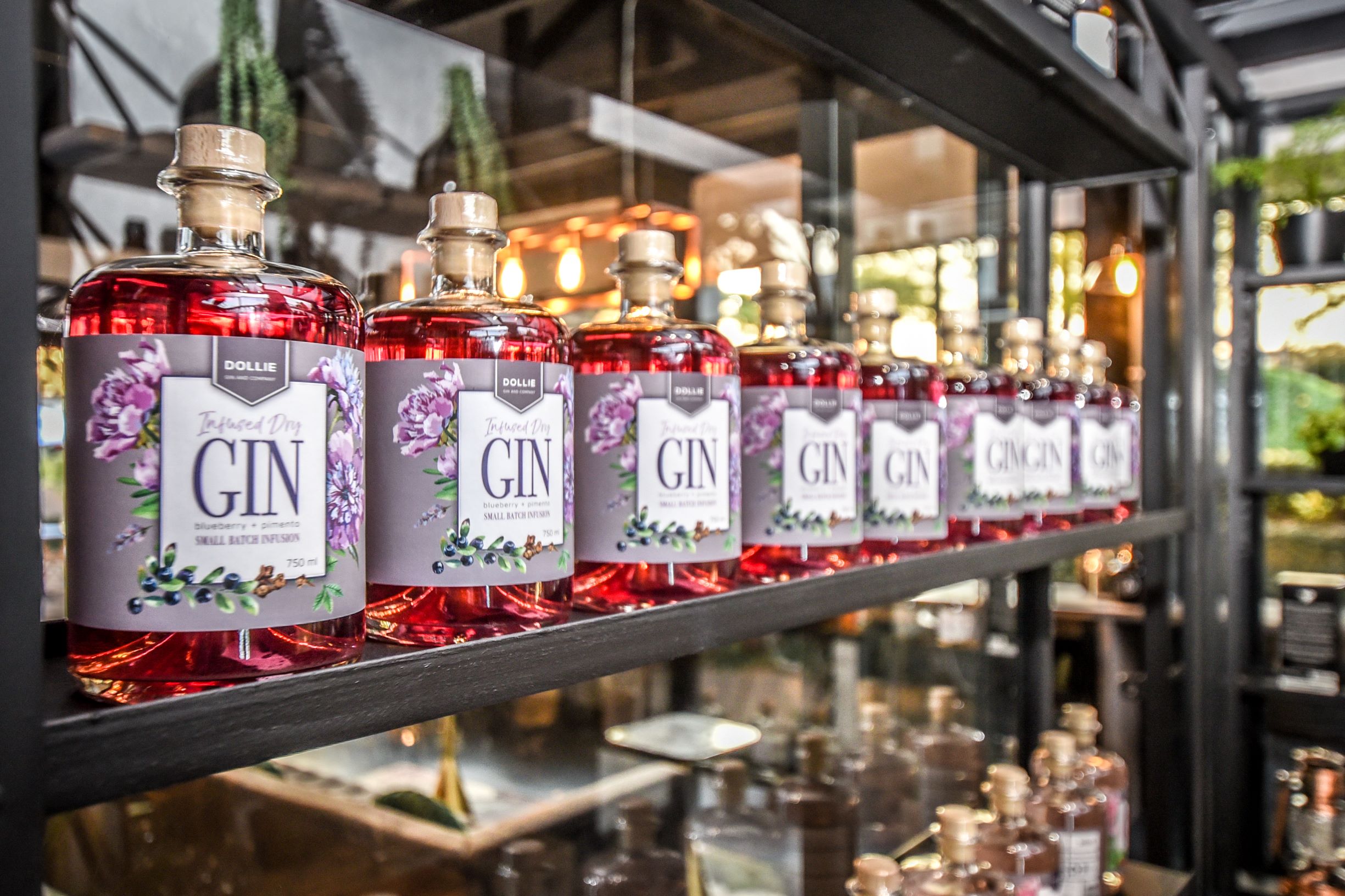 Gin tasting at Gin & Co Casterbridge
